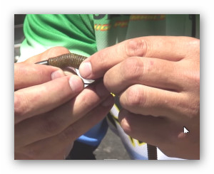 how to fish a plastic worm