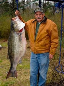 World Record Striped Bass