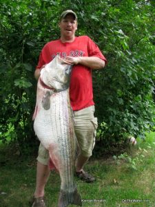 world record striped bass saltwater