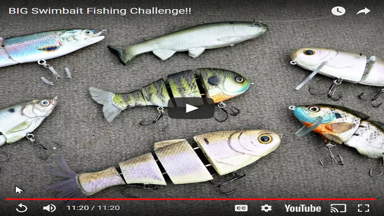 Video Fishing Tips Using Swimbaits