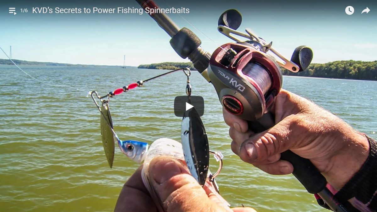 Tips On Video How To Fish Spinnerbaits